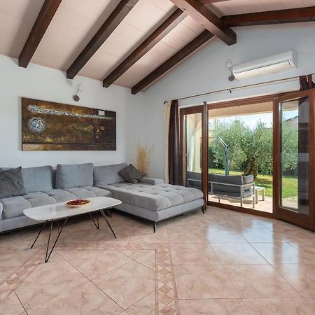 Villa Lucas Novigrad Istria Esterno foto